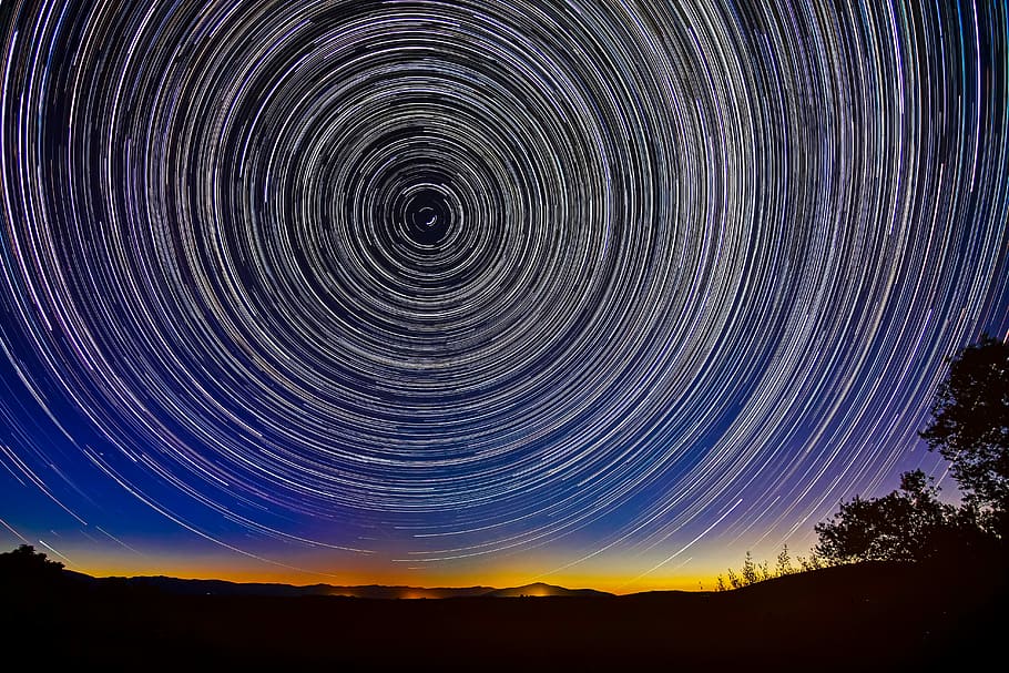 silhouette photography of trees and sky, time lapse photo of stars HD wallpaper