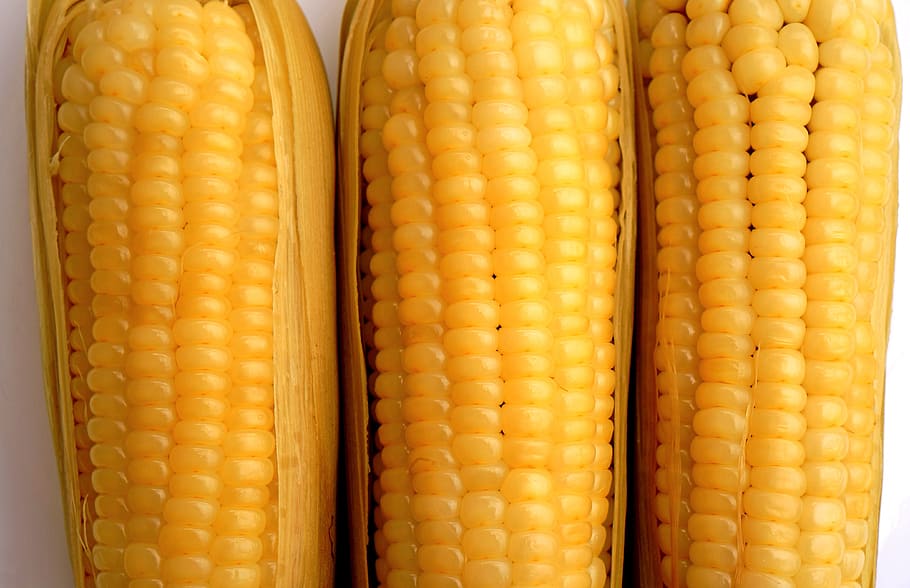 food, muscles, background, food and drink, corn, vegetable HD wallpaper