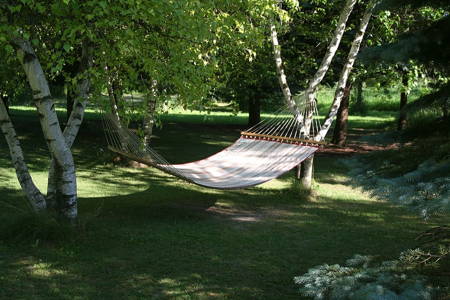 white hammock hang on trees, sling, relax, rest, leisure, outdoors HD wallpaper