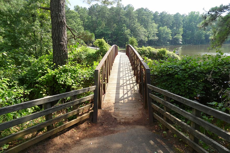 Bridge, Walkway, Pathway, park, footbridge, tree, outdoors HD wallpaper