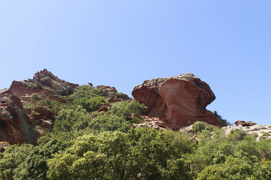 geological structures, landscape, red sandstone, plant, sky HD wallpaper