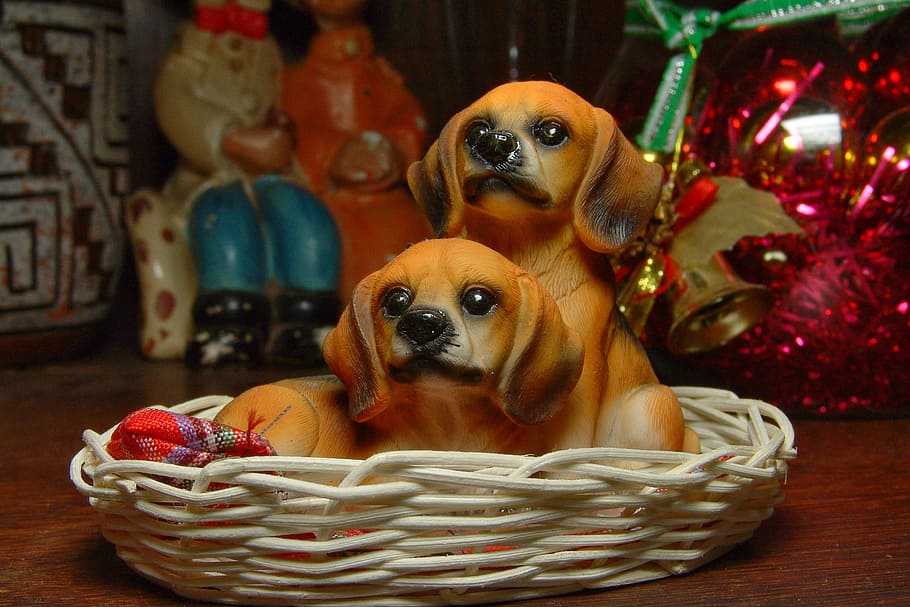 dog, statue, puppy, pets, animal, cute, purebred Dog, canine HD wallpaper