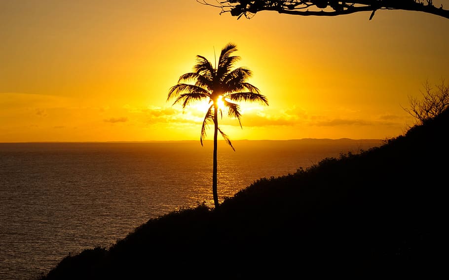 Sunshine, Yellow, summer, happy, sunlight, happiness, dom, landscape HD wallpaper