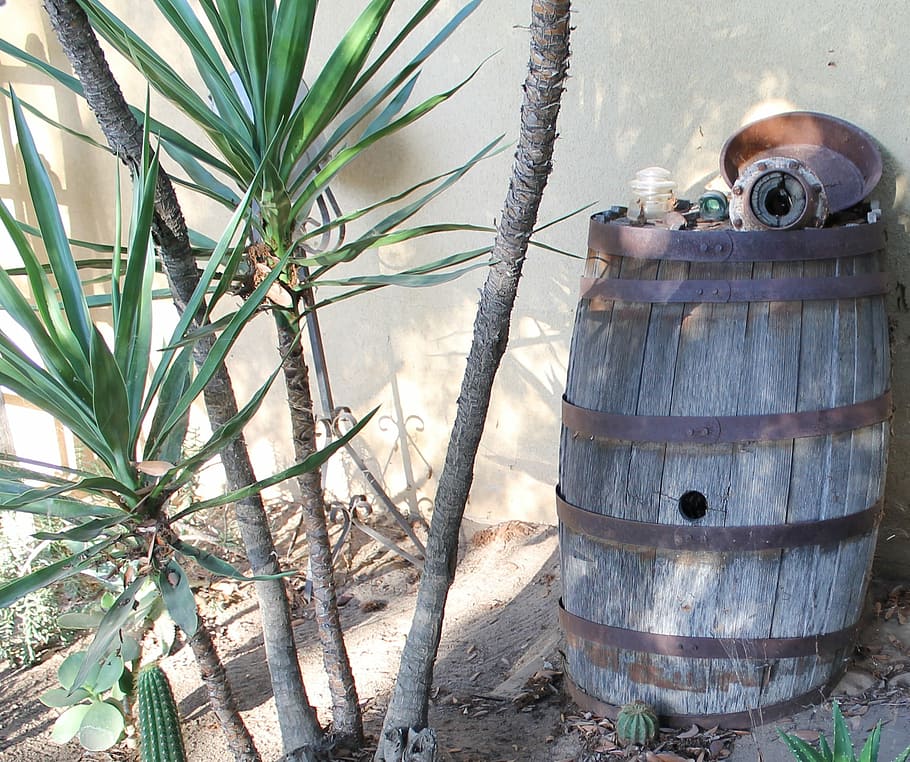 yucca, barrel, rustic, antiques, garden, old, wooden, metal HD wallpaper