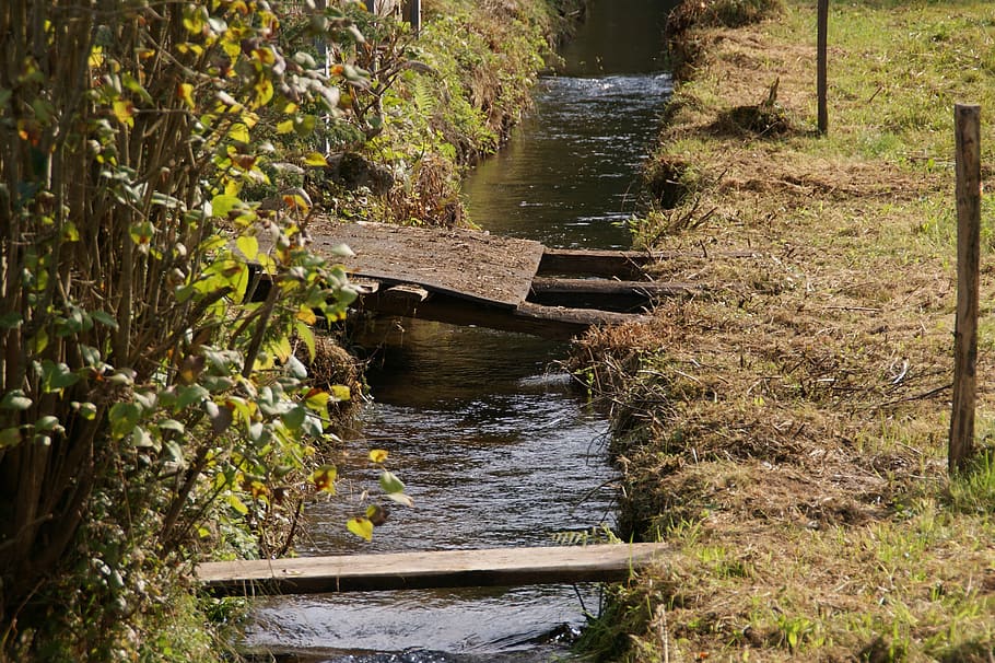 black forest, bach, mood, waters, bridge, atmosphere, home HD wallpaper