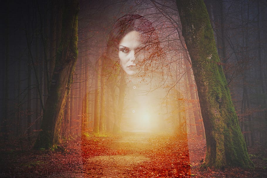 silhouette of woman in forest, ghost, gothic, horror, scary HD wallpaper
