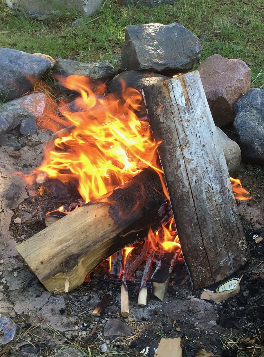 fire, wood, summer, bonfire, flame, burning, heat - temperature HD wallpaper