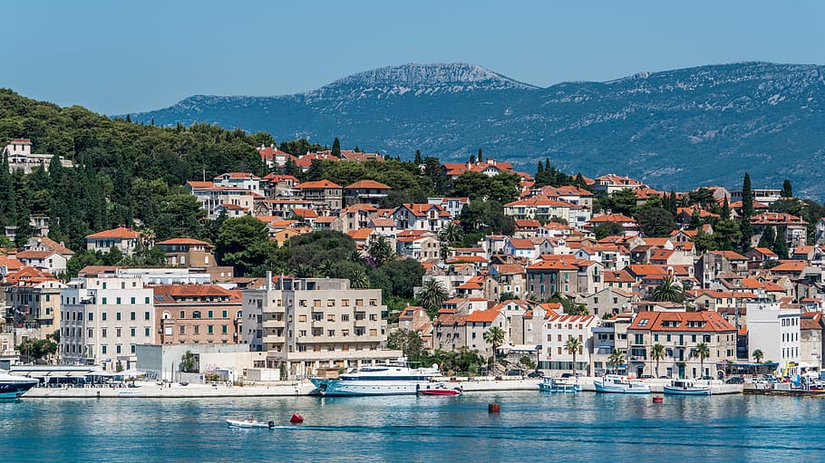 city near body of water during daytime, split, croatia, architecture HD wallpaper