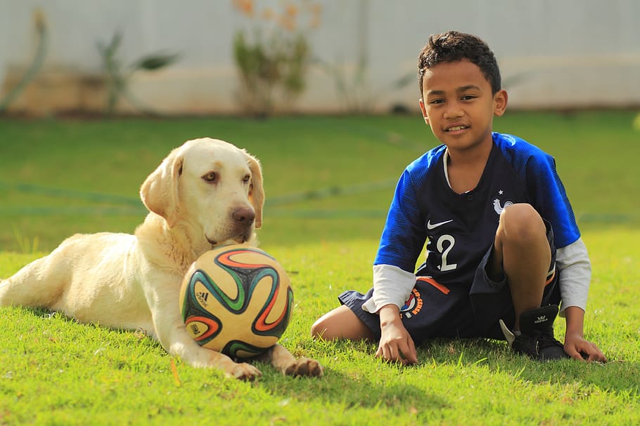 HD wallpaper: football, boy, kids, dog, soccer, fun, outdoor, child, childhood - Wallpaper Flare