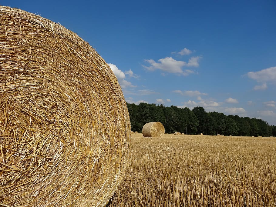 summer, straw, field, landscape, harvest, agriculture, village HD wallpaper