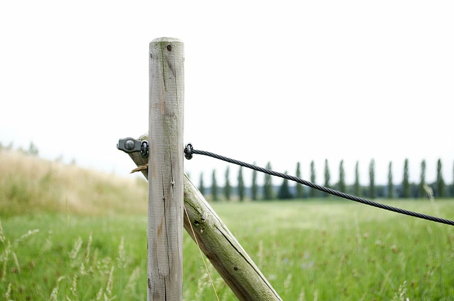 fence, clouds, sky, nature, outside, macro, trees, pasture HD wallpaper