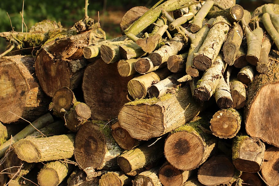 file of brown fire woods, Log, Tree, Timber, Lumber, Forest, industry, HD wallpaper