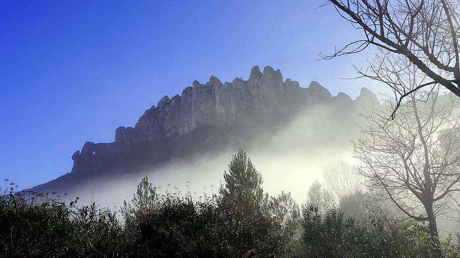 Fog, Landscape, Mountains, Inversion, silhouette, sky, trees HD wallpaper
