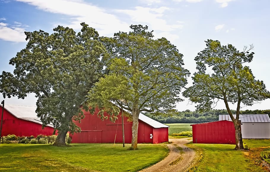 barn, rustic, barns, ohio, digital art, rural, scenic, country HD wallpaper