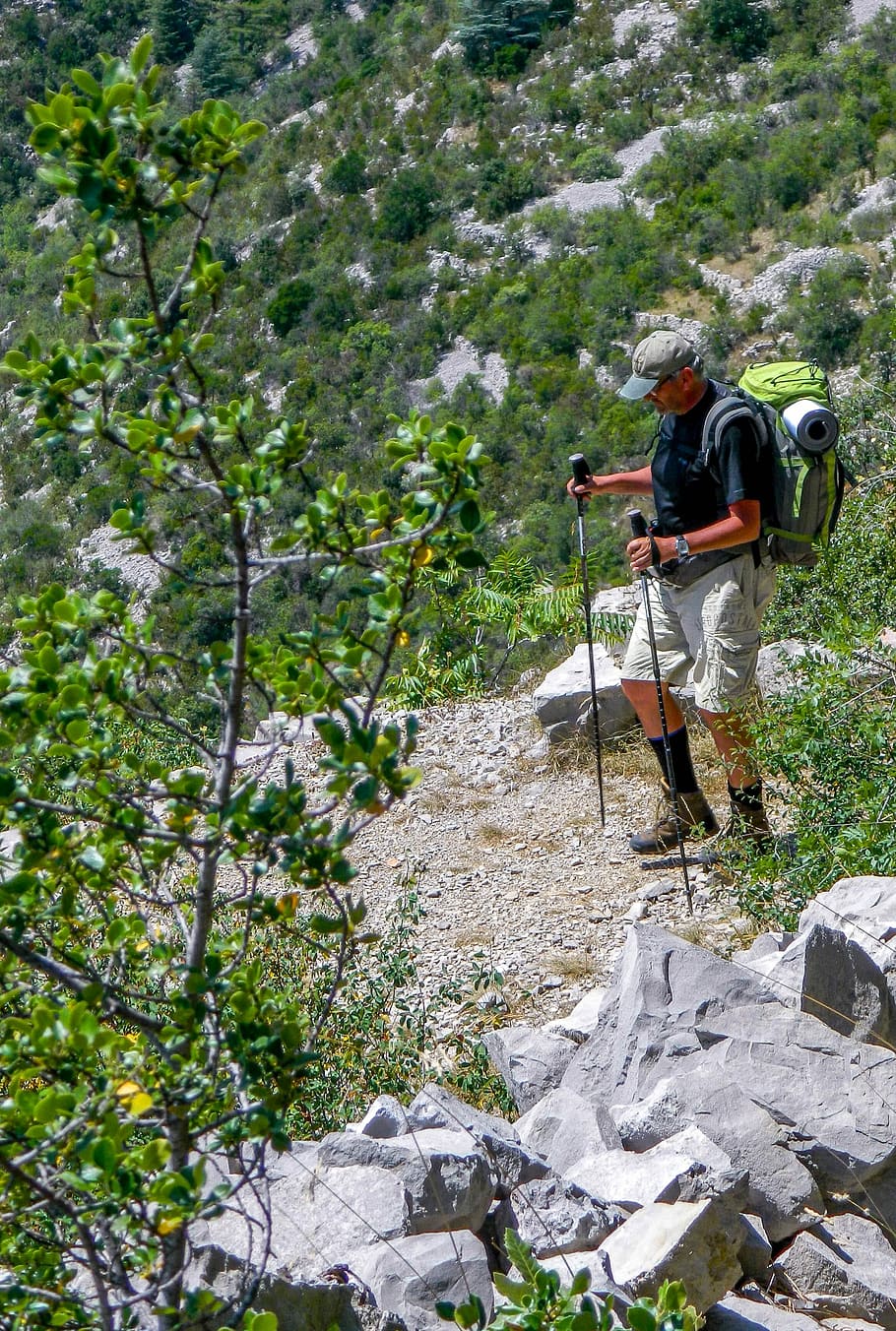 Hiker, Path, Hiking, Compostelle, Nature, cluniac path, outdoors HD wallpaper