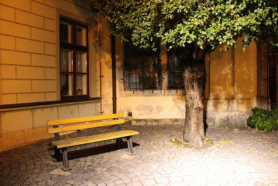 Bench, Tree, Background, Foliage, green, natural, autumn, wood HD wallpaper