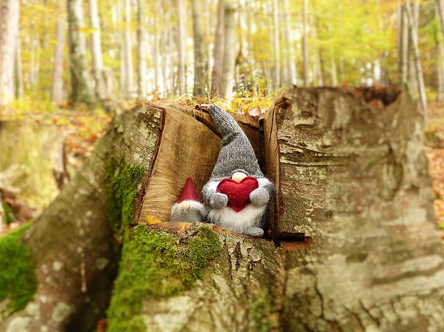 red and gray gnome costume o branch, imp, brownie, dwarfs, forest HD wallpaper
