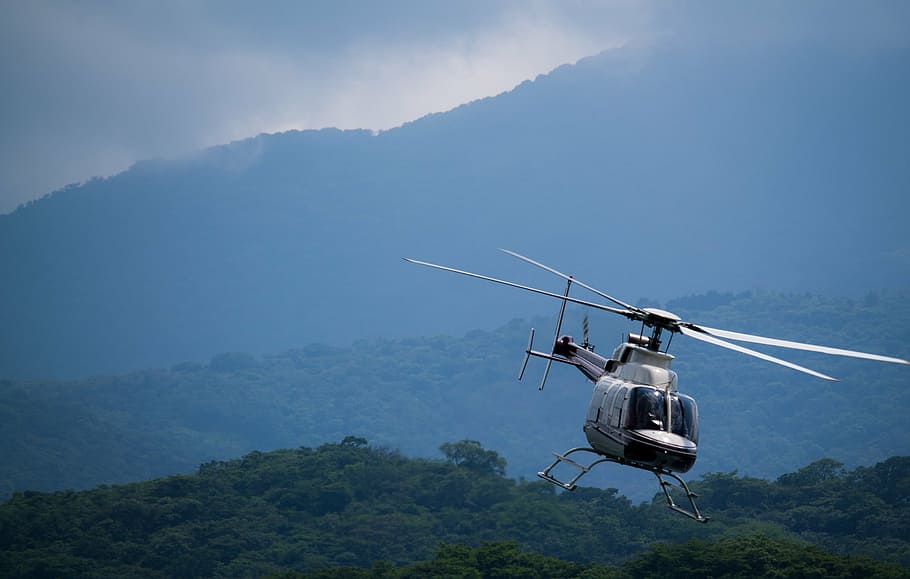 white helicopter flying above forest, flight, jungle, sky, transport HD wallpaper