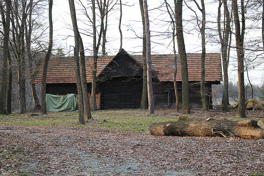barn, stabling, vacation, wood barn, architecture, built structure HD wallpaper