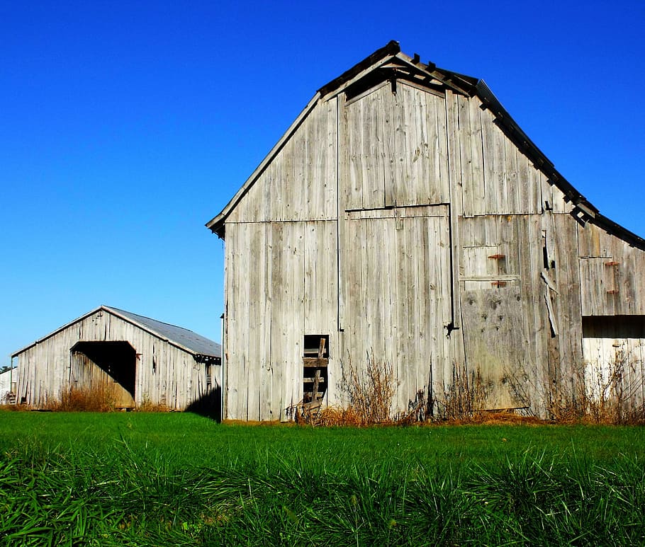 Barns, Farm, Buildings, Houses, structures, blue, sky, green, HD wallpaper