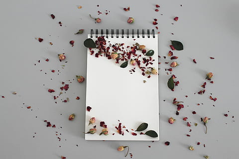 flat-lay photography of leaves on white notebook, notes, write down HD wallpaper
