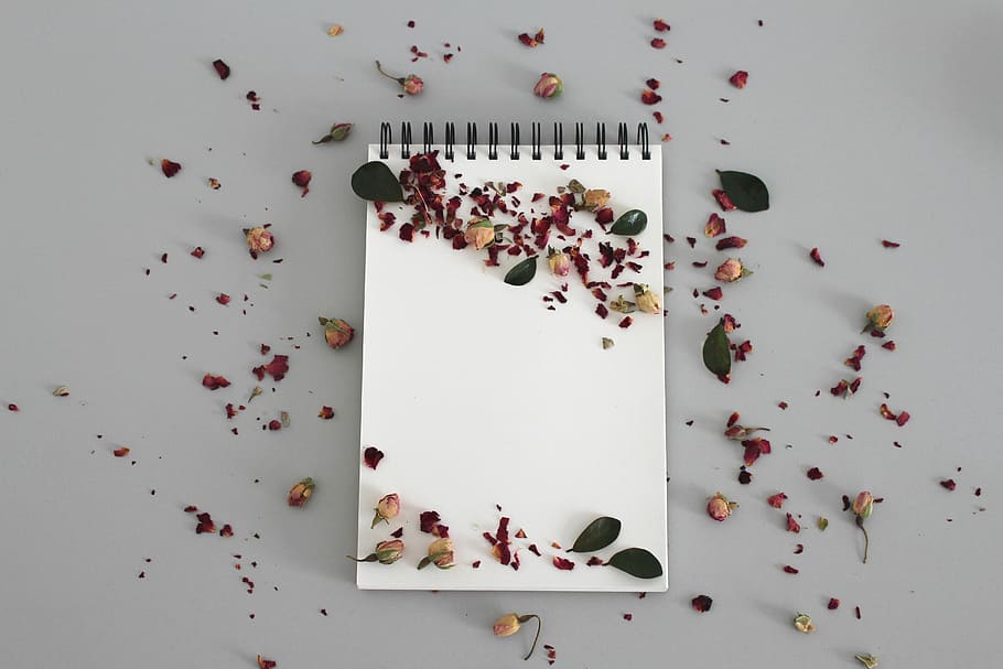 flat-lay photography of leaves on white notebook, notes, write down, HD wallpaper