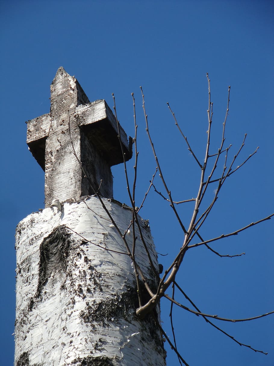 cross, birch, christianity, sky, low angle view, clear sky HD wallpaper