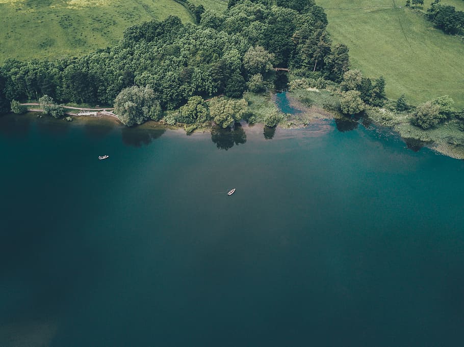 top view photo of green trees lot, nature, water, landscape, lake HD wallpaper