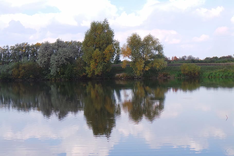 nature, pond, lake, reflection, trees, pokoj, day, summer, russia HD wallpaper