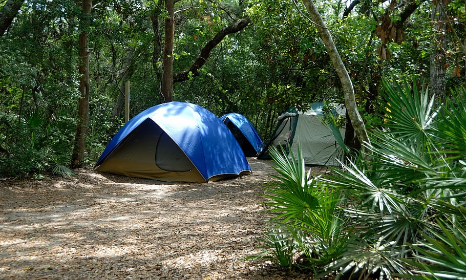blue and gray tents surrounded by trees, Camping, Recreation