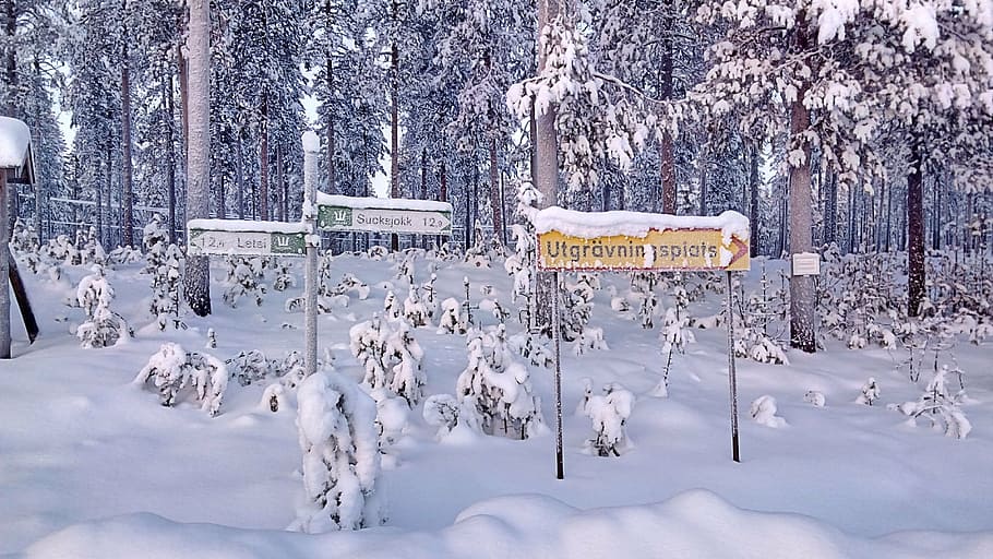 directory, snowy, wintry, shield, lapland, sweden, winter, cold temperature HD wallpaper