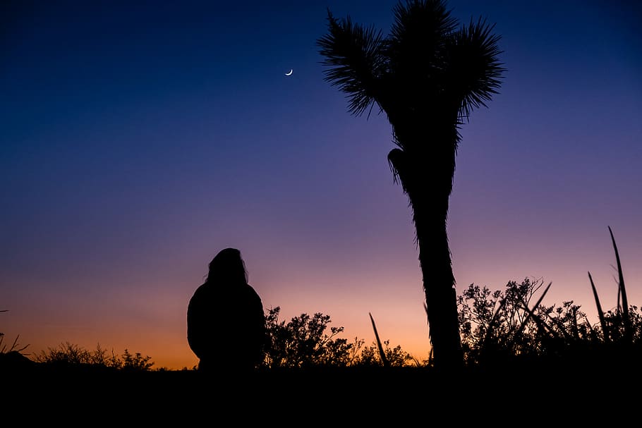 silhouette of person standing near palm tree, silhouette woman beside palm tree HD wallpaper