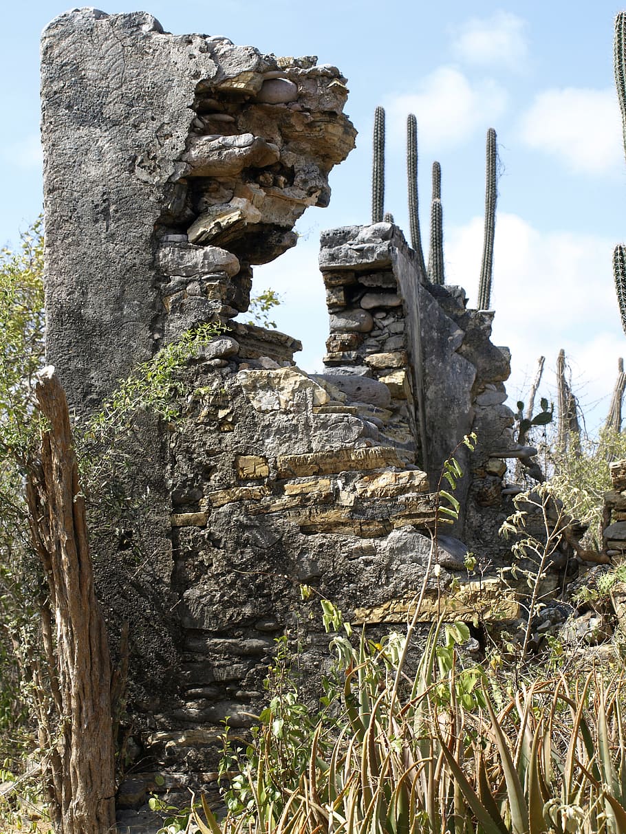 christoffel park, ruins, antilles, curacao, caribbean, abc islands, HD wallpaper