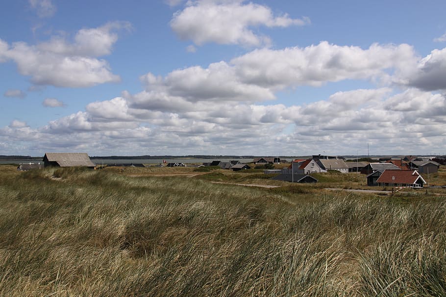 sums, huts, cottages, grass, windy, cloudscape, agger, jutland, HD wallpaper