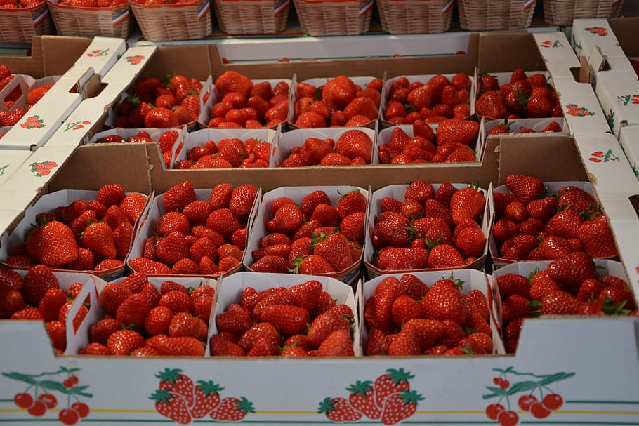 Strawberry Refrigerator