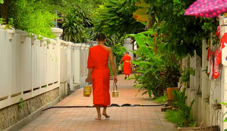 laos, luangprabang, monk, bud, buddhism, full length, real people
