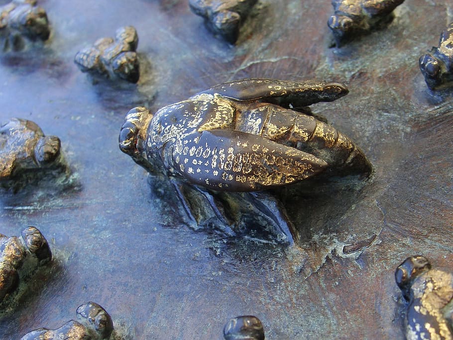 bee, bronze, relief, metal, honey, close-up, animal, animal themes HD wallpaper
