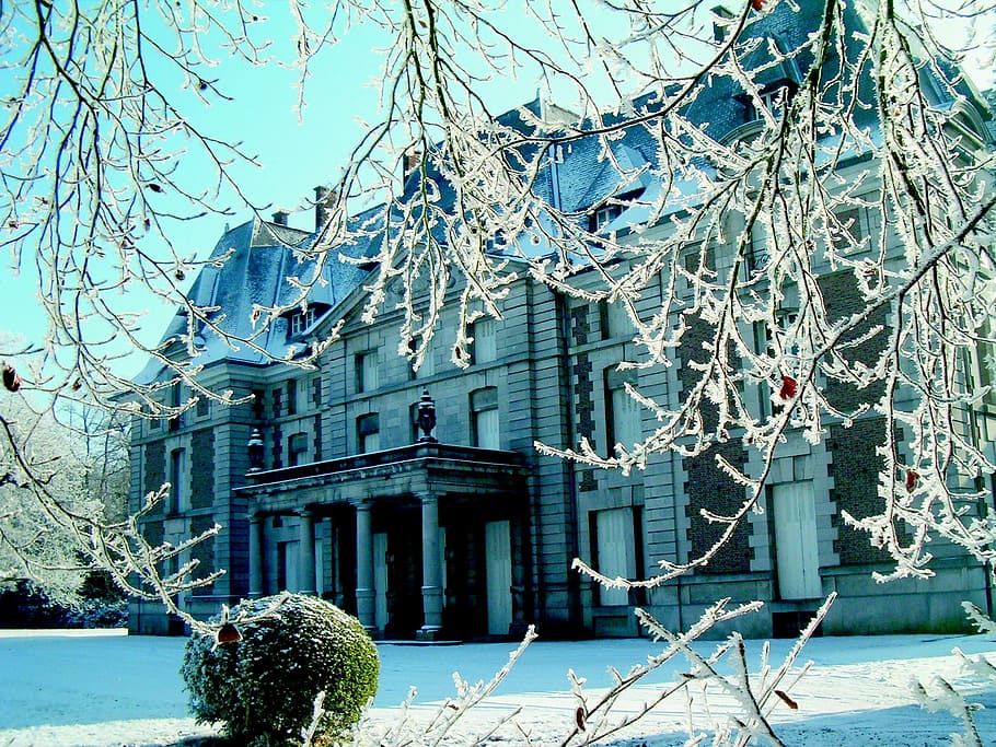 winter, castle, snow, tree, architecture, building Exterior HD wallpaper