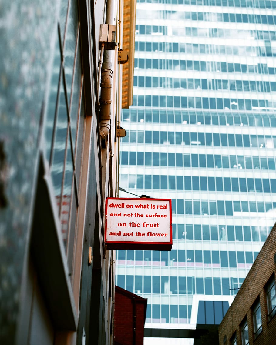 wihte and red sign board near mirror wall building, dwell on what is real and not the surface on the fruit and not the flower text, HD wallpaper