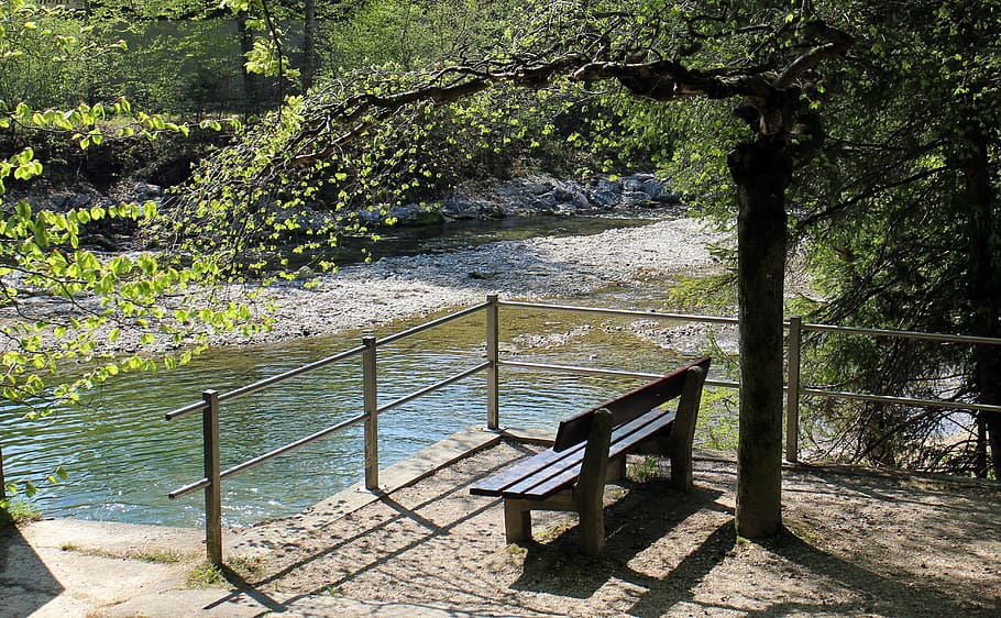 seat, bank, sit, click, out, nature, bench, tree, plant, railing HD wallpaper