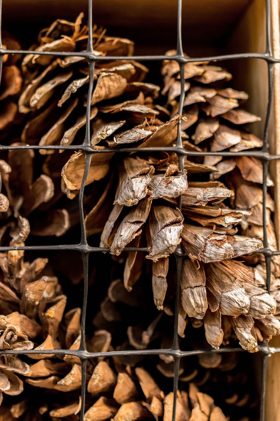 wood, nature, dry, industry, batch, daylight, drink, husk, leaves HD wallpaper