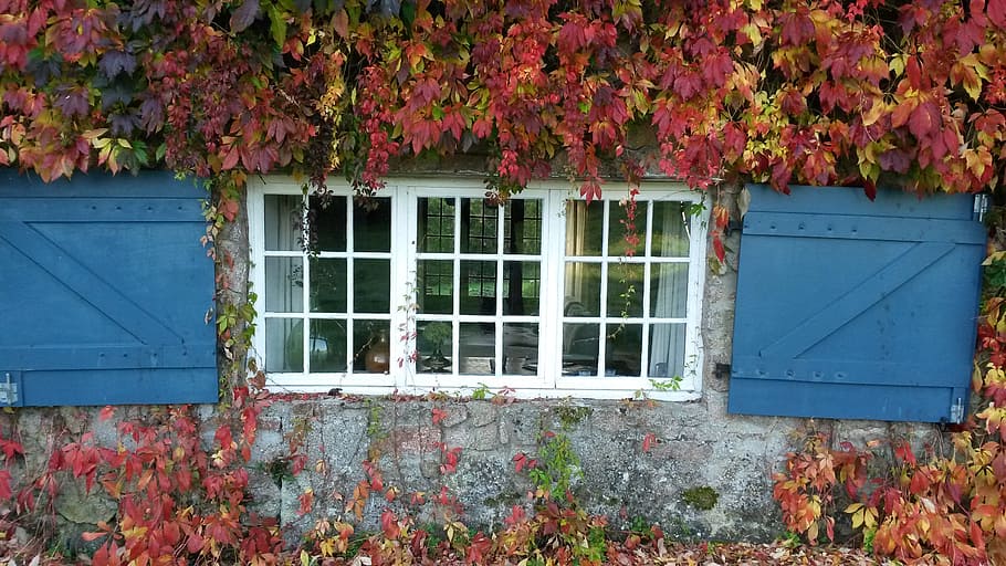 window, blue, rest, old, architecture, wood - Material, house HD wallpaper
