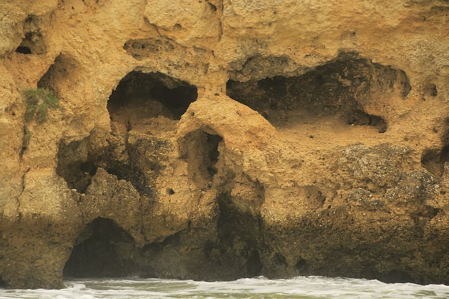 skull, face, rock formation, rocks, solid, rock - object, water HD wallpaper