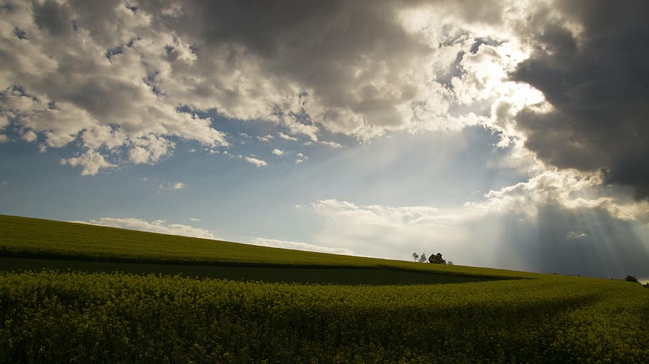 green grass under blue cloudy skies, clouds, sunset, sky beams HD wallpaper