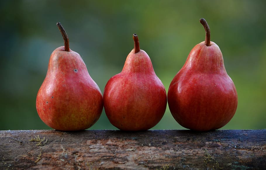 three oval red fruits, pears, branch, pyrus communis, food HD wallpaper