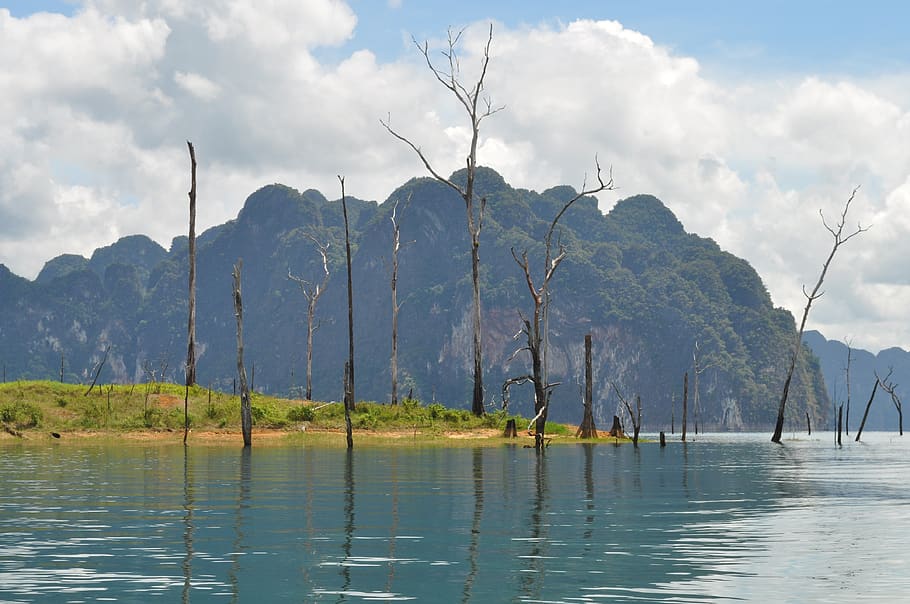 dali, lake, tree, water, mountain, cloud - sky, tranquility HD wallpaper