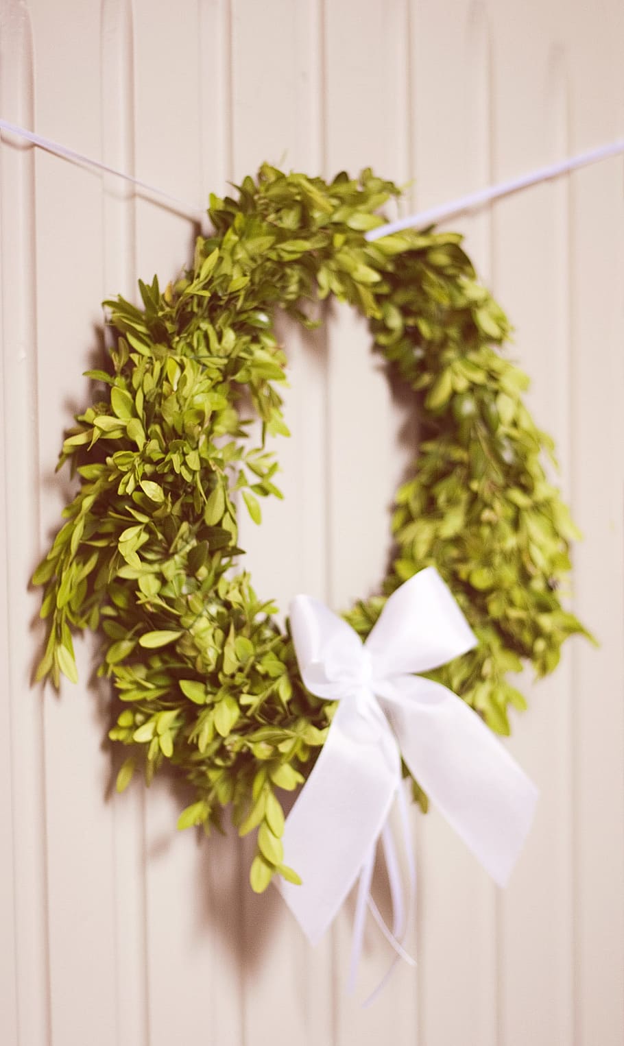 green door wreath hanging on white wall, arrangement, solemnly
