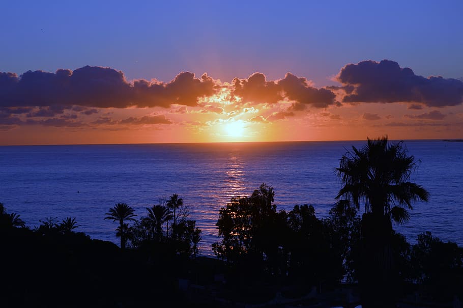 Sky, Light, Shadow, sunset, silhouette, scenics, sea, tree HD wallpaper