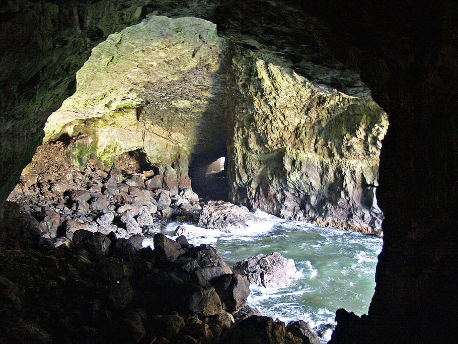 sea lion cave, rocks, pacific, shoreline, oregon, usa, nature, HD wallpaper