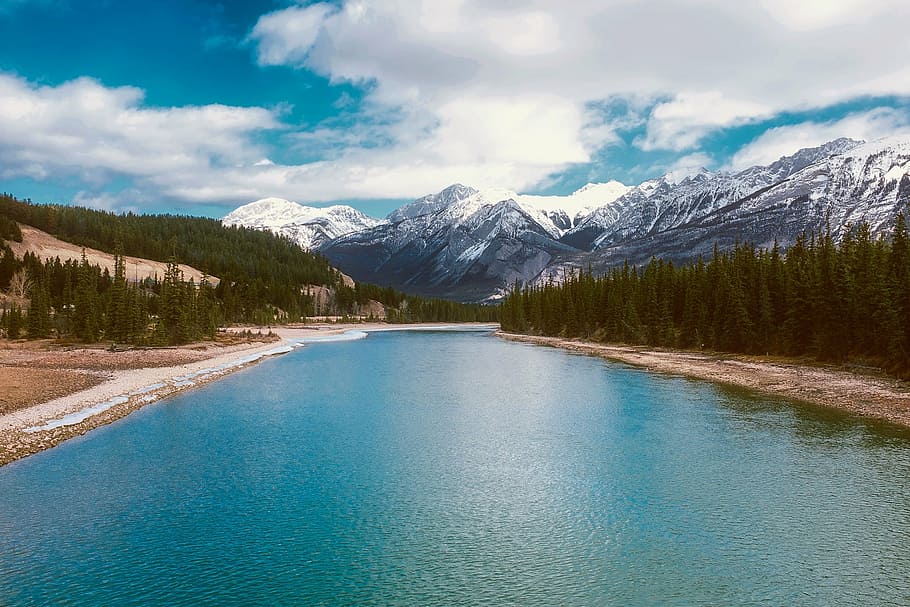 forest beside body of water, canada, river, snow, mountains HD wallpaper